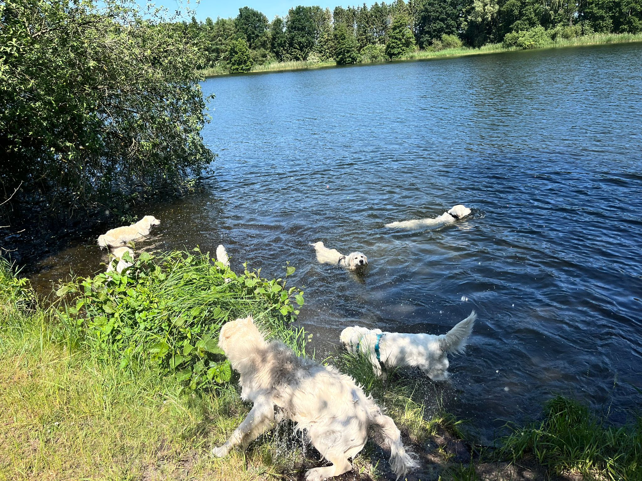 Bild des Tages vom Brügmannshof